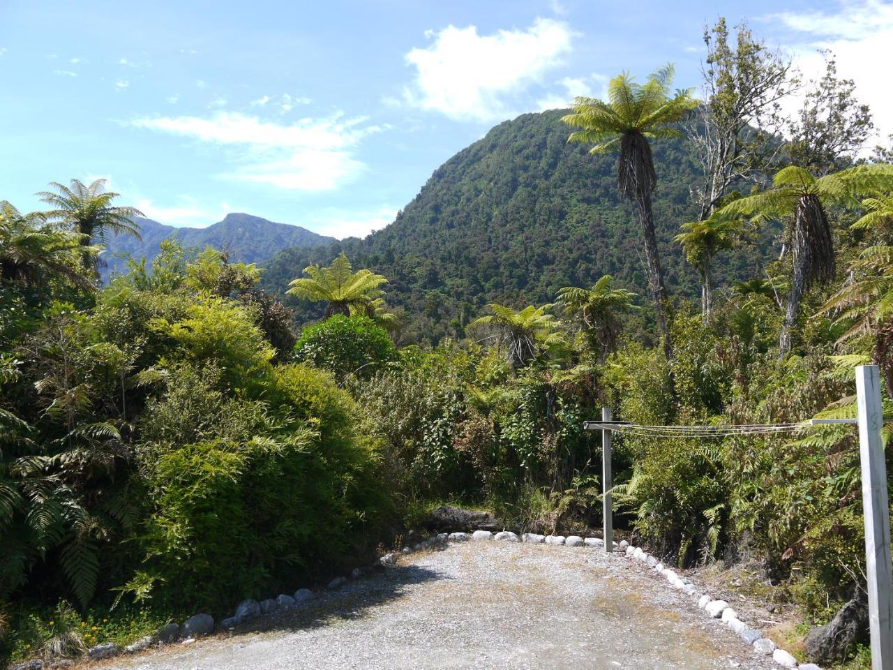 Franz Josef Treetops المظهر الخارجي الصورة